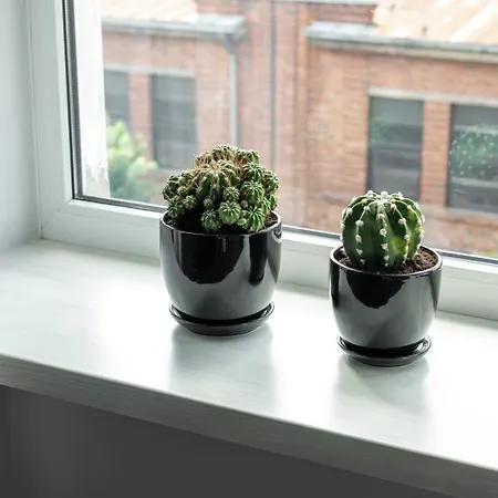 Old-new In * קובנה